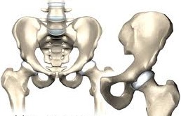luxarea congenitală a articulației șoldului doare durere în interiorul articulației șoldului