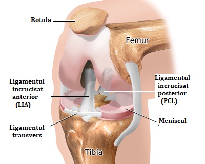 gradul de deteriorare a ligamentelor genunchiului