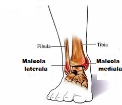 artroza ciclismului genunchiului dispozitive pentru tratamentul artrozei și articulațiilor
