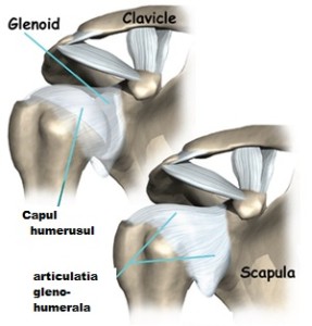leziuni ale sacului articulației articulației umărului