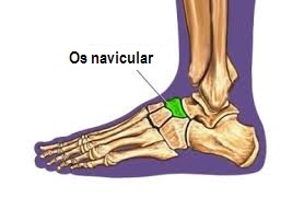 dureri la nivelul gleznei după fractură osteoartrita medicamentelor articulației genunchiului