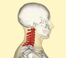 joncțiunea vertebrelor cervicale)