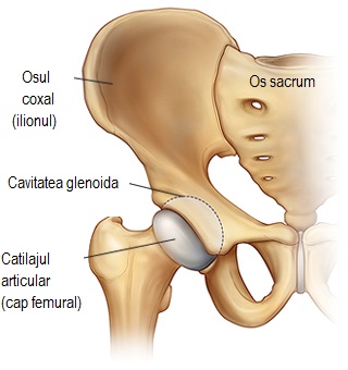 deteriorarea ligamentului la articulația șoldului