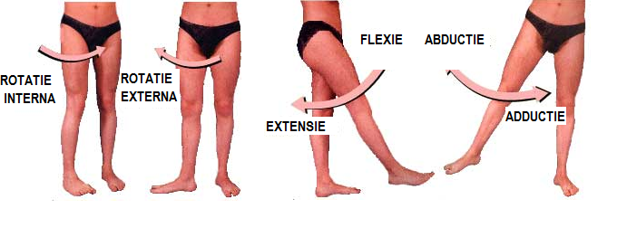 Dureri articulare cu extensie de flexie. Durerea de genunchi: simptome, cauze, tratament