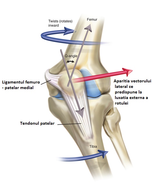 luxația meniscului tratamentului articulației genunchiului