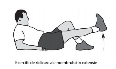 recuperare genunchi exercitii)