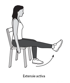 flexie extensie genunchi
