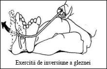 07.inversiune_glezna