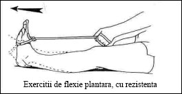 08.flexie_plantara_rezist