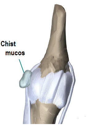 hand_anatomy_intro01