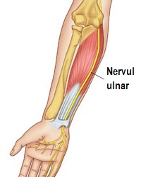 ulnar-nerve-1